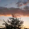 Donny Allen - @donny.allen3 - TikTok