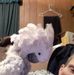 Donny Armstrong - Facebook