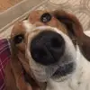 Donny Bailey - @donnybailey44 - TikTok