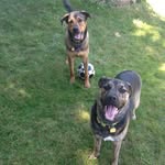 Donnie & Baxter - @donnie_bax_ - Instagram