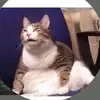 donnybeck4444 - @user9342785827616 - TikTok