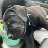 Donny Block - @donny.block - TikTok