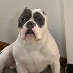 Donny Boss - @donny.boss.1 - Instagram