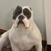 Donny Boss - @donny.boss8 - TikTok