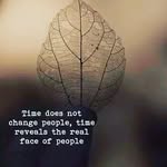Donny Bosschaerts - @donny.bosschaerts - Instagram