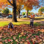 Donnybrook, Western Australia - @donnybrookwa - Instagram