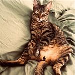 Donny Bryant - @donnybug - Instagram