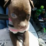 Donnie Freeman - @donnie.freeman - Instagram