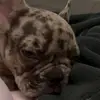 Donny Freeman - @donny.freeman1 - TikTok
