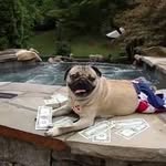 Donny Nelson - @canadiandew - Instagram