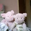 donnynewman - @fluffypiggyplanet19 - TikTok