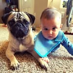 Donnie Reeves - @reevesdonnie - Instagram