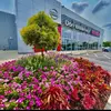 Don Williamson Nissan - @dwnissanjacksonvillenc - TikTok