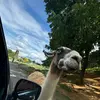 donovan - @donovan.barlow24 - TikTok