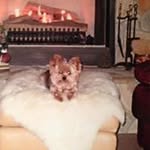 @burcham_9700__donovan - Instagram