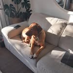 Donovan Campbell - @donovancampbell56 - Instagram