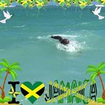 Donovan Campbell - @donovan.campbell.188 - Instagram