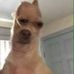 Donovan Campbell - Facebook