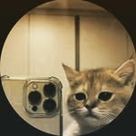 Donovan Amilkar - @donovan_camposx - Instagram