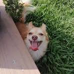 Donovan Cantu - Facebook