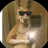 Donovan - @donovancarrillo29 - TikTok