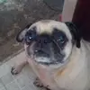 donovancarrillo928 - @donovancarrillo928 - TikTok