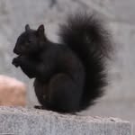 Donovan Carroll - @_dark.potato_ - Instagram
