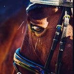 Casey Donovan Photography - @caseydonovanphotography - Instagram