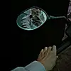 @brayerramirez - @donovan_chan - TikTok
