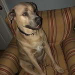 Donovan Chaney - @donovan_chaney - Instagram