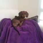 Churi Donovan - @donovanchuri - Instagram