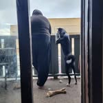 Donovan Cole - @bearbaitak - Instagram
