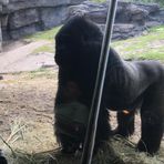 Donovan Copeland - Facebook