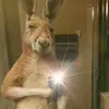 Donovan Correa - @donovan.correa3 - TikTok