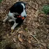 Donovan Beaver - @donovan.beaver - TikTok