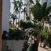 @DONOVAN_DOREL - @donovan_dorel.123 - TikTok