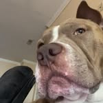 Donovan - @the_donovandoyle - Instagram