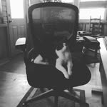 Donovan Doyle - @doyle_kid2003 - Instagram