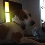 Donovan Dreyer - @dreyerdonovan - Instagram