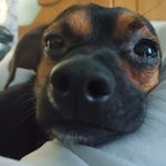 Donovan Driscoll - @driscoll.donovan - Instagram