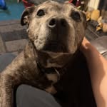 Duffy - @donovanduffy010 - Instagram