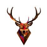 Donovan Duffy - @buck_trickshots - Instagram