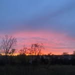 Donovan Edwards - @dedwards___ - Instagram