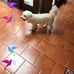 Donovan Estrada - Facebook
