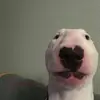 Donovan Fields - @donny.df - TikTok