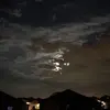 Donovan Fields - @always._tired._ - TikTok