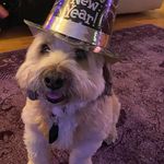 Donovan Foley - @donovan_foley - Instagram
