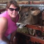 Jean Donovan Foley - @jeandonovanfoley - Instagram