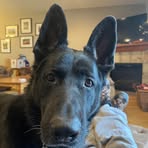 Donovan Foote - Facebook