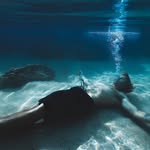 DONOVAN GAINES - @donovangaines.21 - Instagram